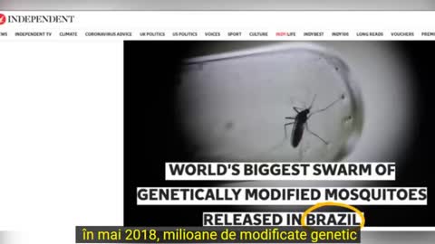 The FA.LL of the CAb@L (the sequel) - part 9