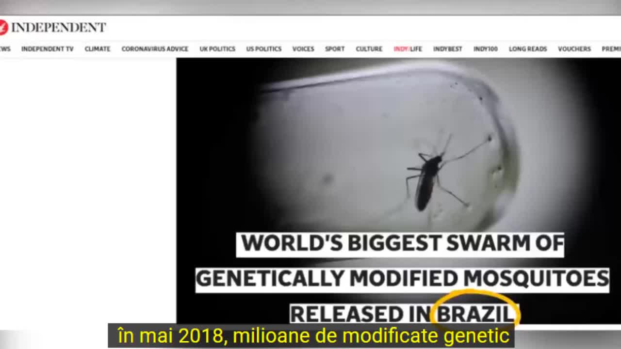 The FA.LL of the CAb@L (the sequel) - part 9