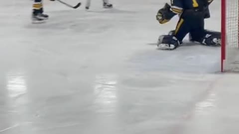 NHL#hockey#followthepuck#fyp