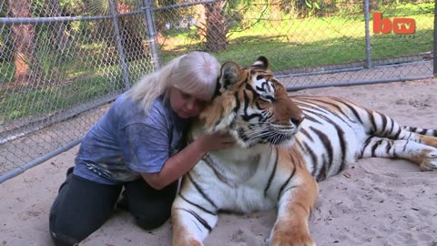 Florida Woman Keeps Bengal Tigers In Her Garden