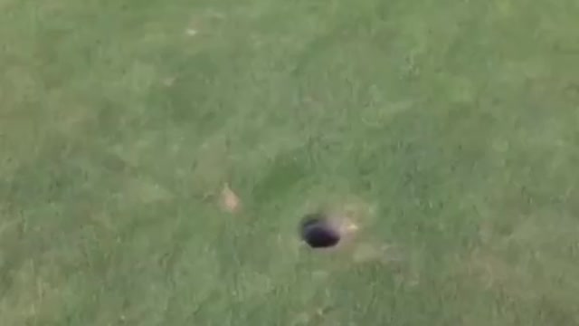 Just a regular Golf kick