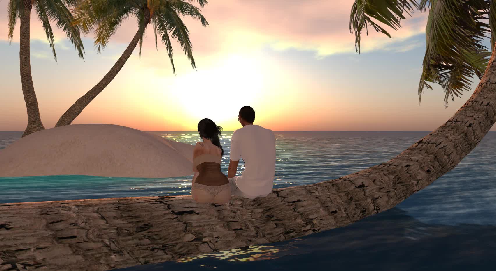 A beautiful couple sitting on a palm tree.