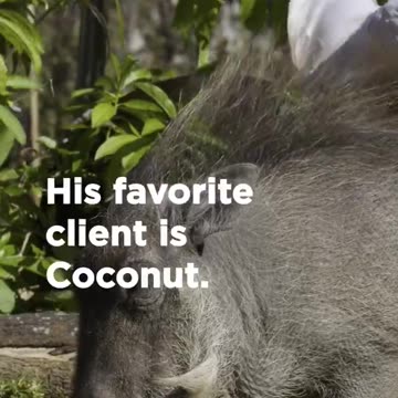 This friendship is a 12-10. - Smithsonian Channel #Shorts