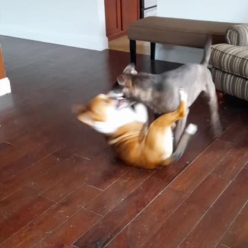 Tucker Carlson Stays Low in Play