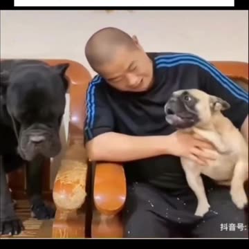 haters in the comment section vs haters in real life