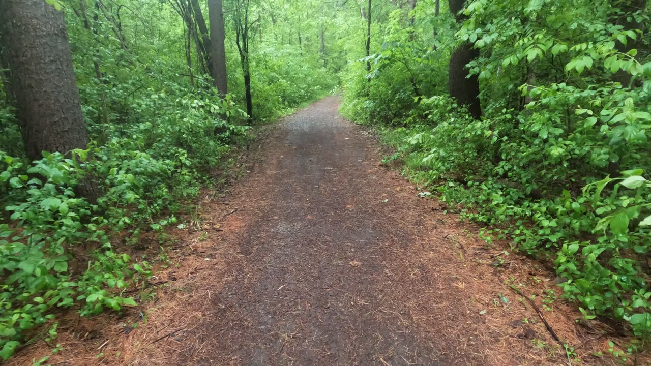 🦌 Spring Edition Hiking The Trans Canada Trails & Old Quarry Trail In Ottawa🍁 Canada 🌴
