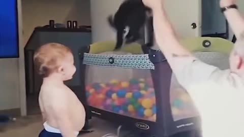 Funny Animal's Video...🤣🤣🤣
