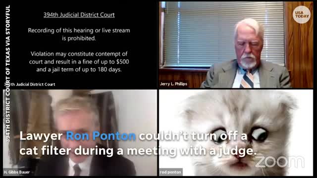 virtual meeting bloopers during pandemic