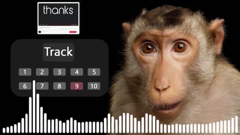 Monkey sound effect no copyright | monkey noises | monkey sounds | HQ