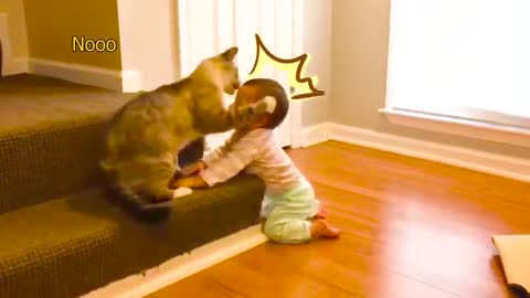 Baby VS Cat funny video_ part-1(720HD).mp4