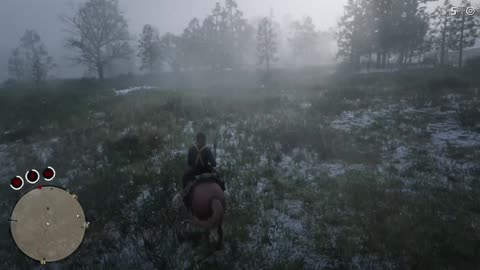 Duck Hunting Red Dead Online 2024