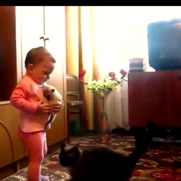 🤣🤣🤣🤣🤣🤣