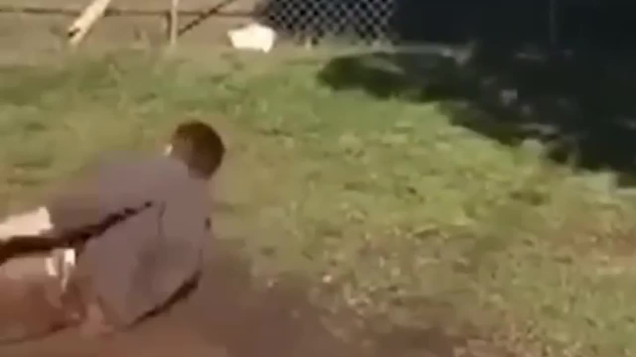 Funniest videos 😂 ll