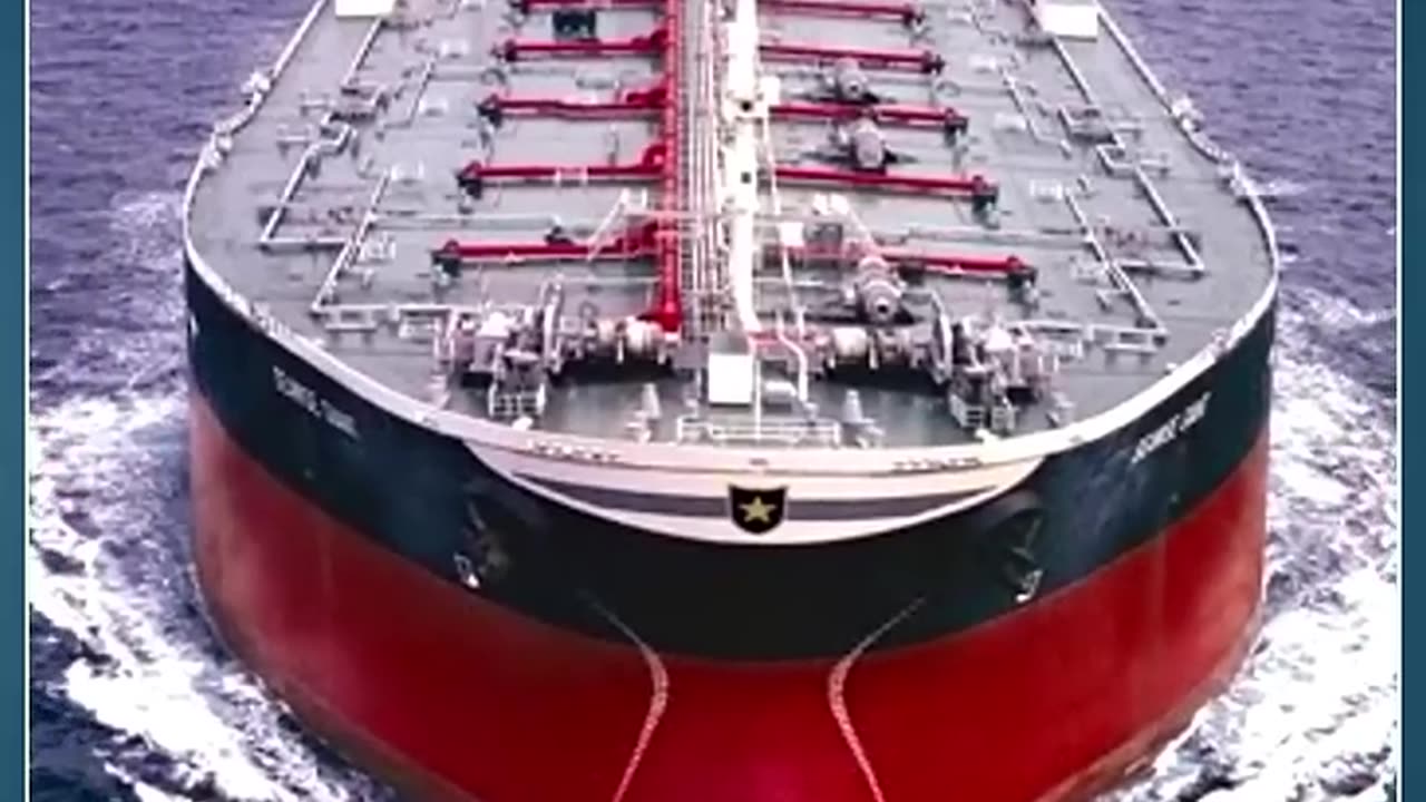 Giants Anchors Holds A Vessels. How? Must Watch. # Marine Life