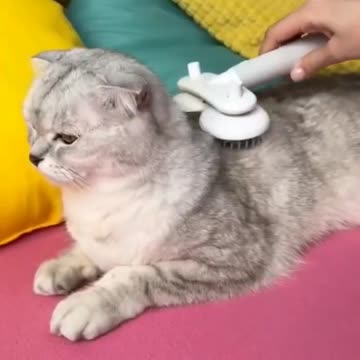 6.Rate The Hat From 1 To 10