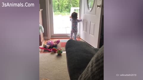 top baby funny