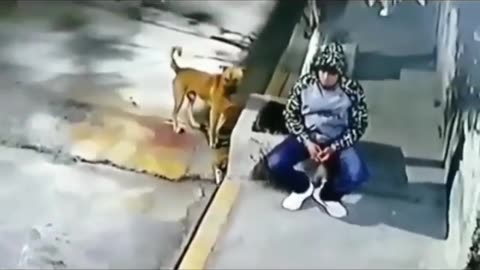 Funny Meams 😂 || Real Life Meams 🔥 || Video by KJ COLLECTIONS