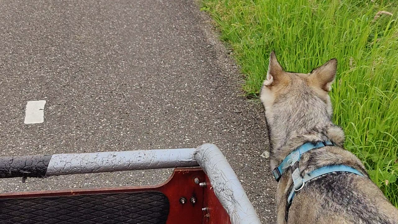 Met de bakfiets