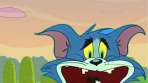 Tom vs Jerry #comedy#shorts#funny