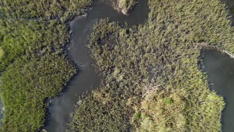 Krystal River: Drone Footage of the west Temple Mound