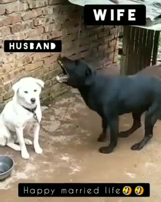 Husband wife problems that may