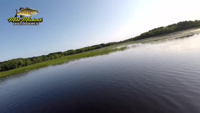 May smallmouth on High Falls Flowage