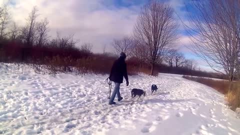 WHITE CHRISTMAS