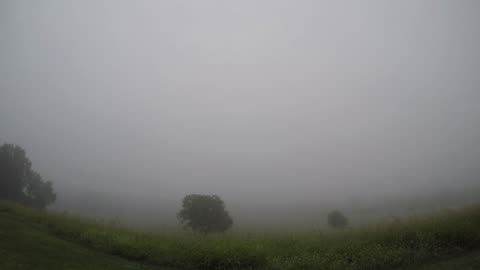 Sun ☀ Rise Foggy 8 10 23 64f/18c