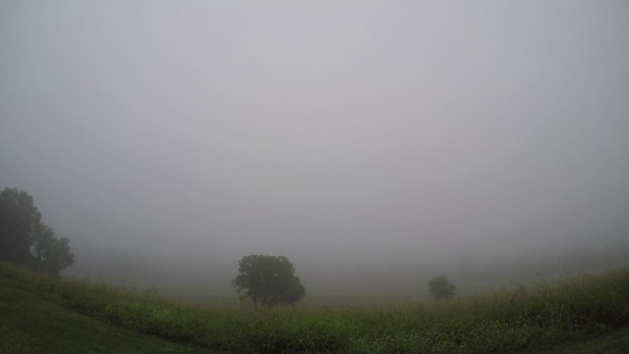 Sun ☀ Rise Foggy 8 10 23 64f/18c