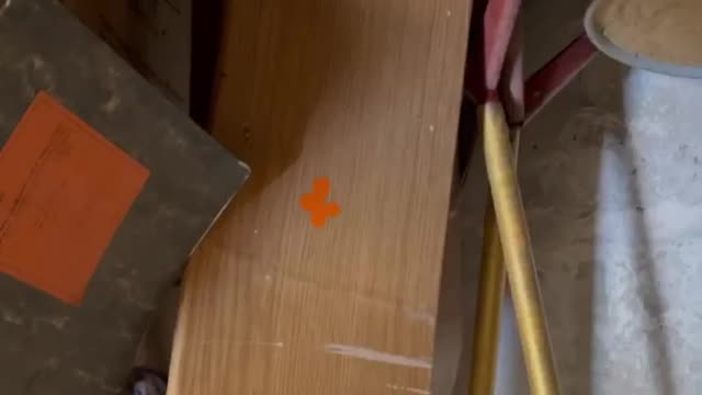 ΛΙΣΙΤΣΑΝΣΚ 5