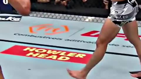 "UFC most brutal knockout in the history"