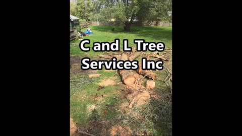 C and L Tree Services Inc