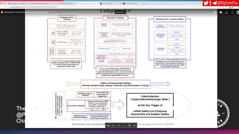 Dr. Peter McCullough o srčanim nakon vaccine
