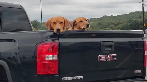 OUR SON LOCKED US OUT of the F-150 on a COLD DAY !