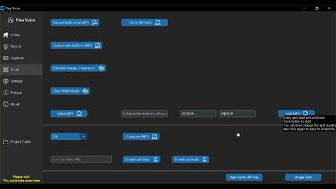 Pixa Voice: How to A.I. transcribe a Large Audio File using our Tools