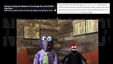 Muppets Shot Video