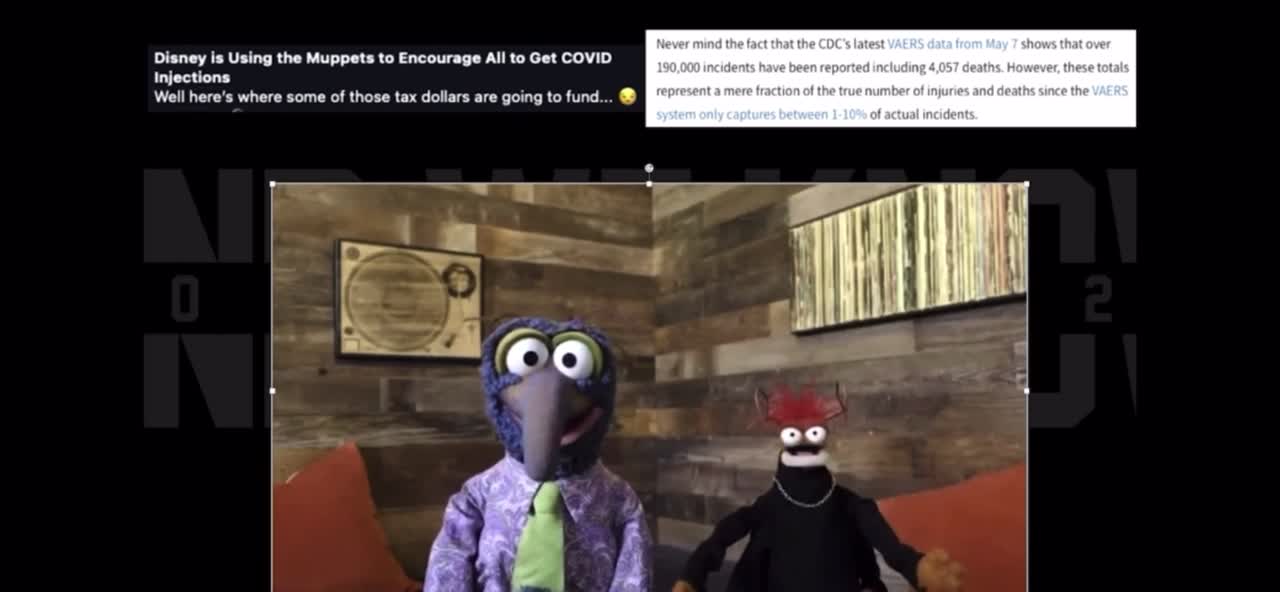 Muppets Shot Video