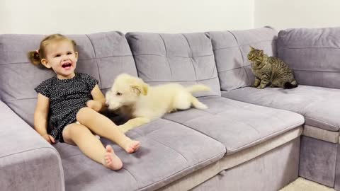 Cute_Baby_and_Funny_Puppy_are_Trying_to_Cheer_Up_the_Cat