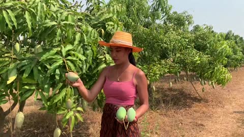 Farm girl in the wild Day 4 biggest mango in the world at my farm Then making Pattaya salad