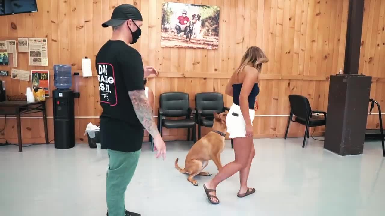 The biggest mistake you did not know in training your dog