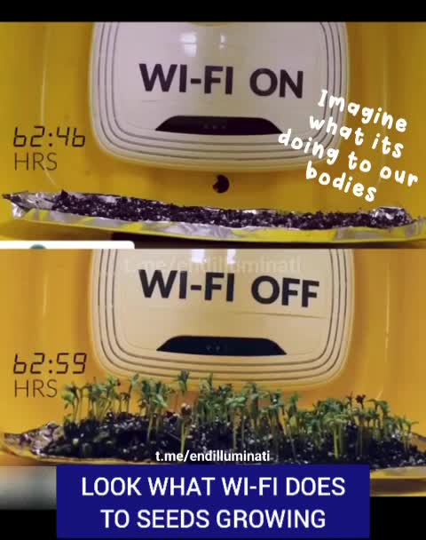 “必須知道的科技秘密”……WI _FI on/off 開或關，對“生命體”的影響