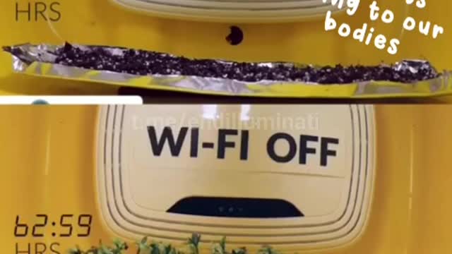 “必須知道的科技秘密”……WI _FI on/off 開或關，對“生命體”的影響