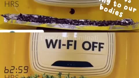 “必須知道的科技秘密”……WI _FI on/off 開或關，對“生命體”的影響