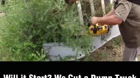 Remove the branches from the truck and repair the car.