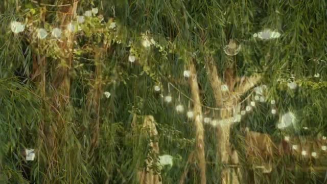 2019 kaunis sukkot / hanukka – Apostoli Elisheva Eliyahu näyttää lehtimajaansa ja tavaroitaan