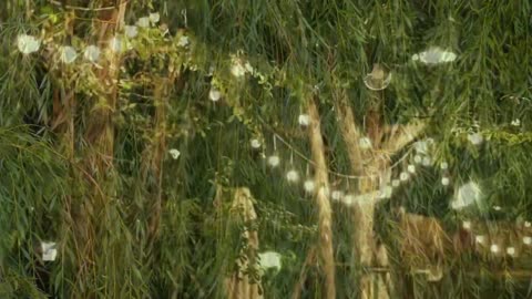 2019 kaunis sukkot / hanukka – Apostoli Elisheva Eliyahu näyttää lehtimajaansa ja tavaroitaan
