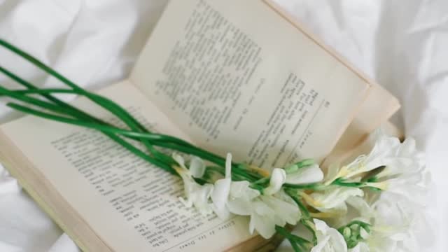 white-flowers-above-a-book-in-the-bed