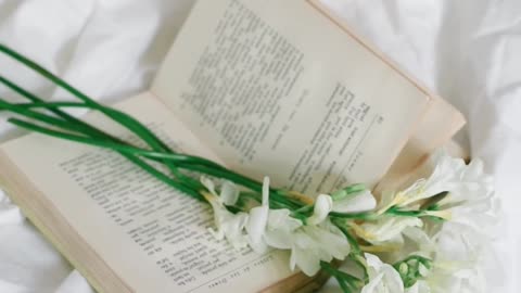 white-flowers-above-a-book-in-the-bed