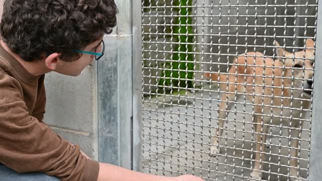 A Caucasian boy is crouched in front of a dog's cage he tries to reassure him by talking to him