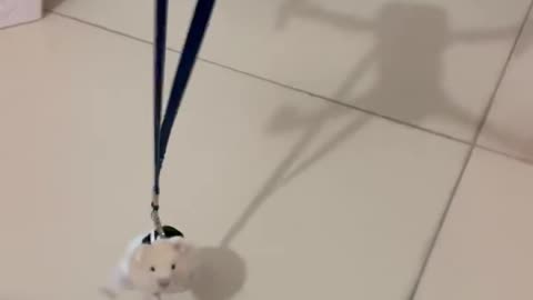像不像你的前女友